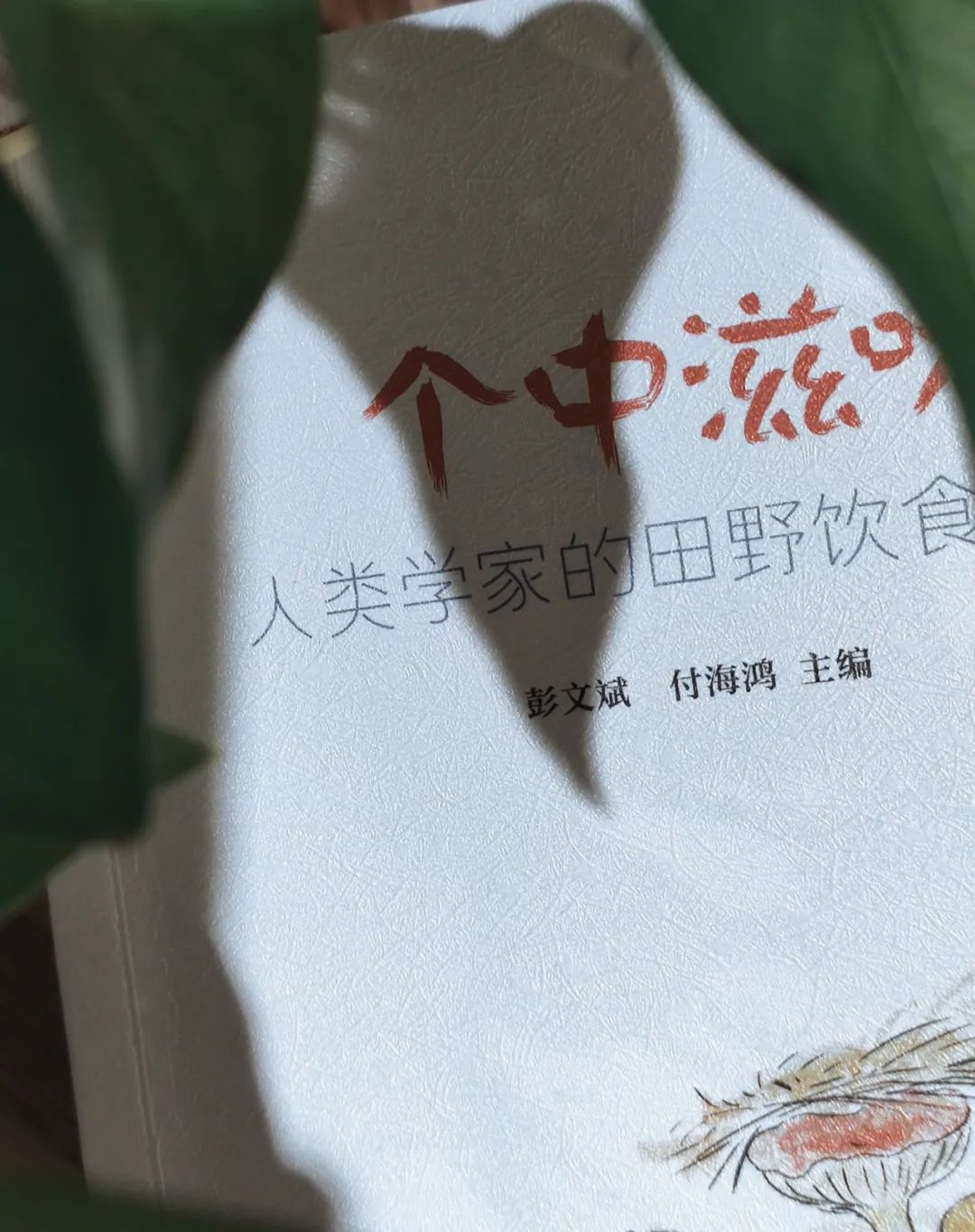 新书速递 |《个中滋味》：人类学家的田野饮食故事