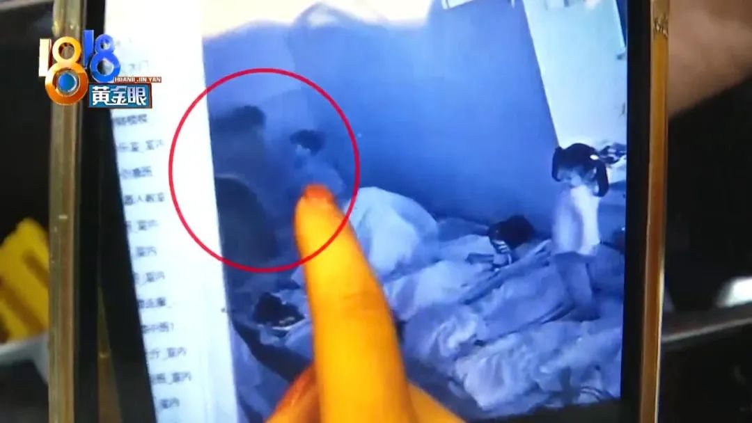 幼儿园监控,幼儿园监控视频软件