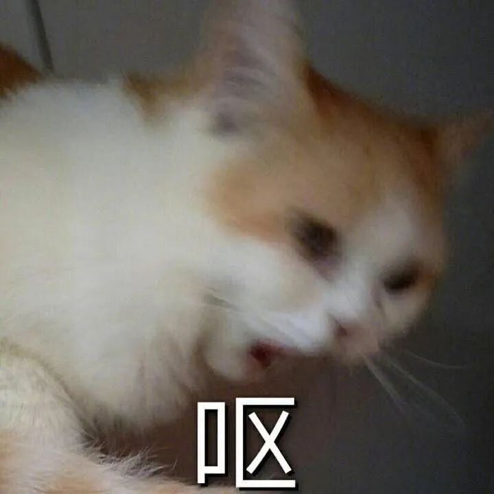 他故意KY中国网友？这下翻车了