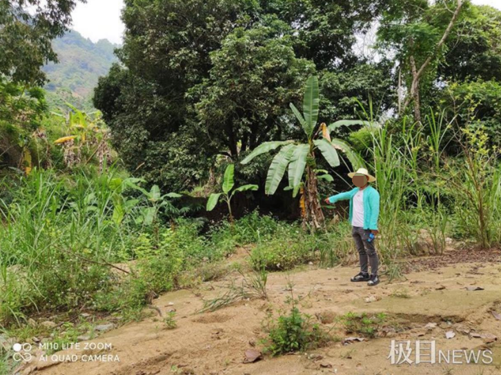 云南一采矿场扩建尾矿库，果农反映沃柑林受影响，政府称该矿场不存在违规情况