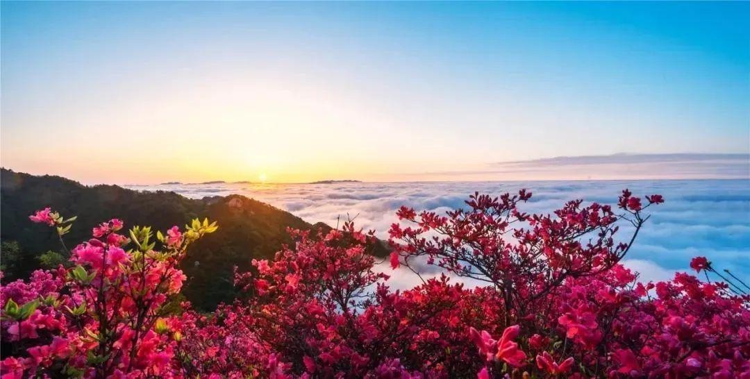 武汉周边旅游年卡景点(武汉周边适合老年人旅游的地方)