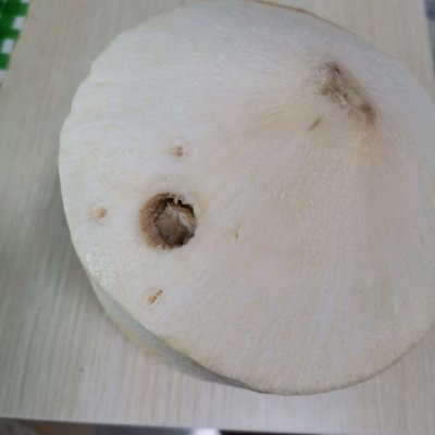家常菜这么多，椰奶冻一定不可错过