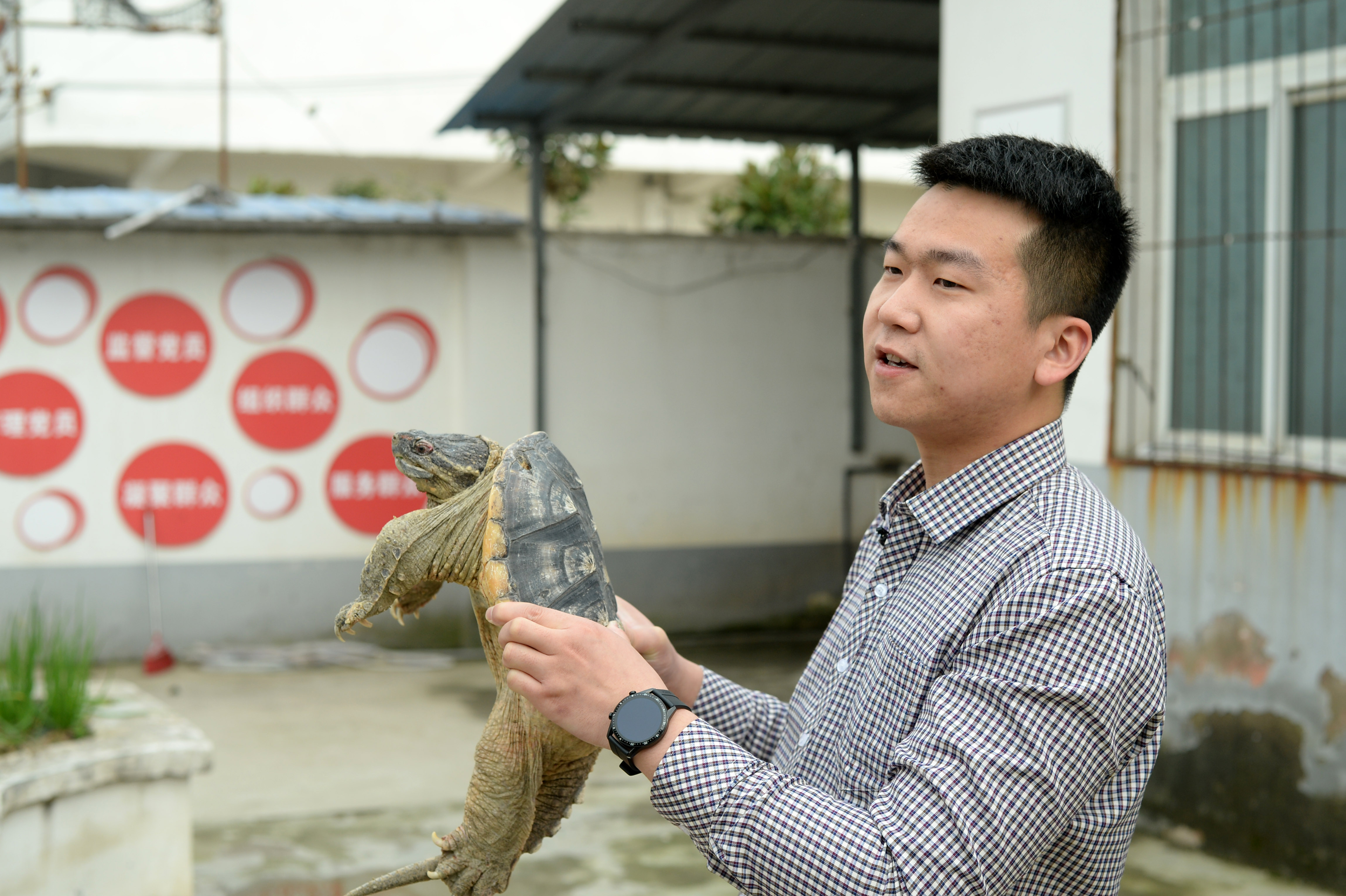 中年男人图片(中年男人图片头像真人照片农民大哥)-骁龙网