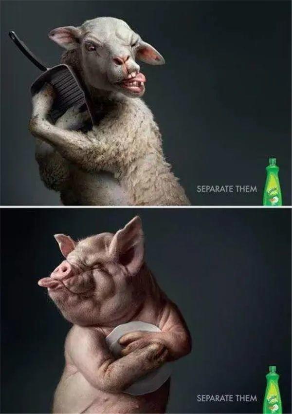 文案太自嗨？修辞不背锅