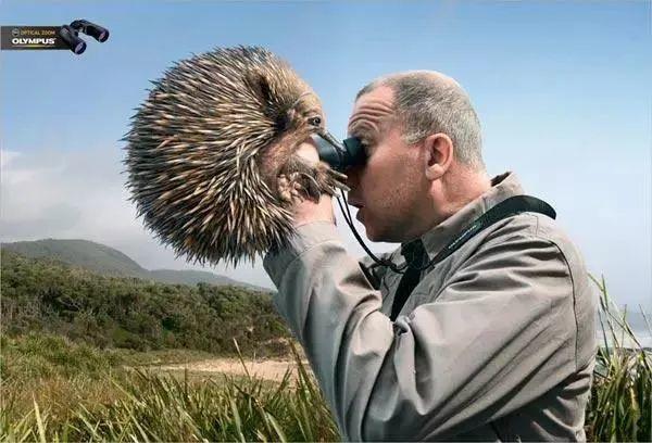 文案太自嗨？修辞不背锅