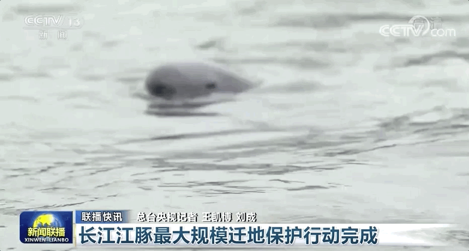 新闻汇｜收费调整，事关出行！最新细则！事关金华市区高中段学校招生→