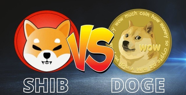 3000%月收益！加密货币是暴富机会吗？