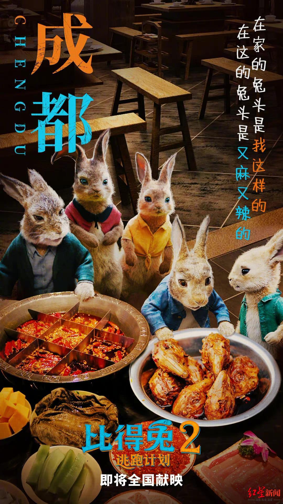 杭州彼得兔电影好看吗
