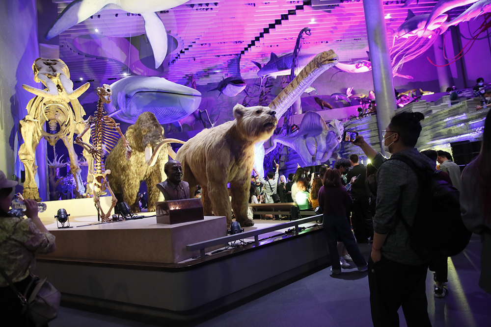 上海自然博物馆举办今年首场“博物馆之夜”，未来还有三场