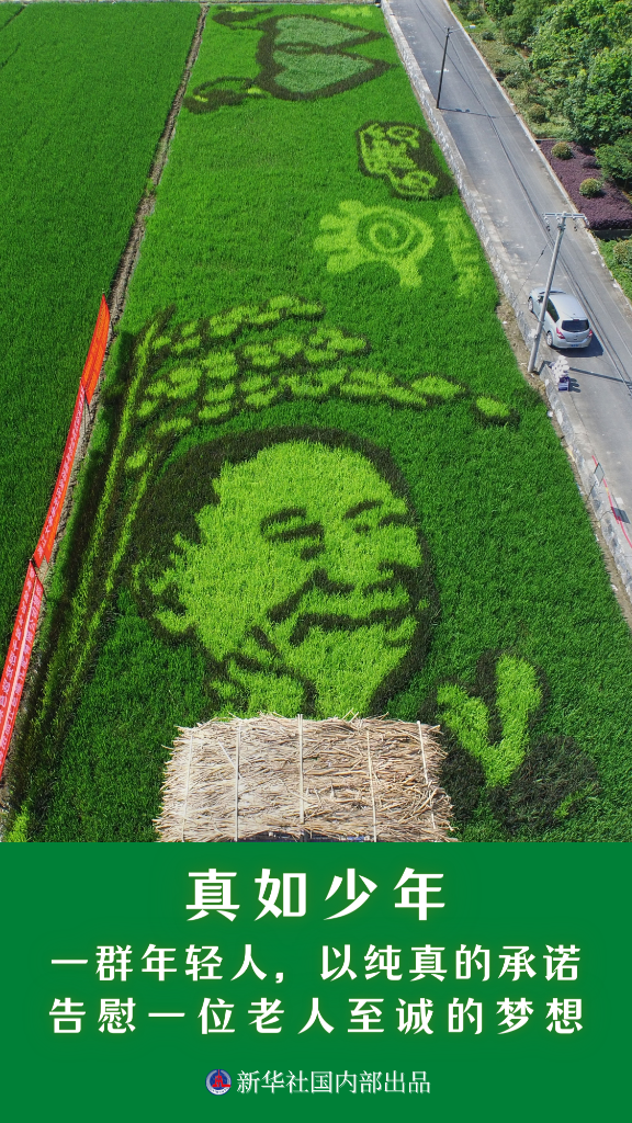 新华述评:禾下乘凉梦 一梦逐一生——怀念袁隆平