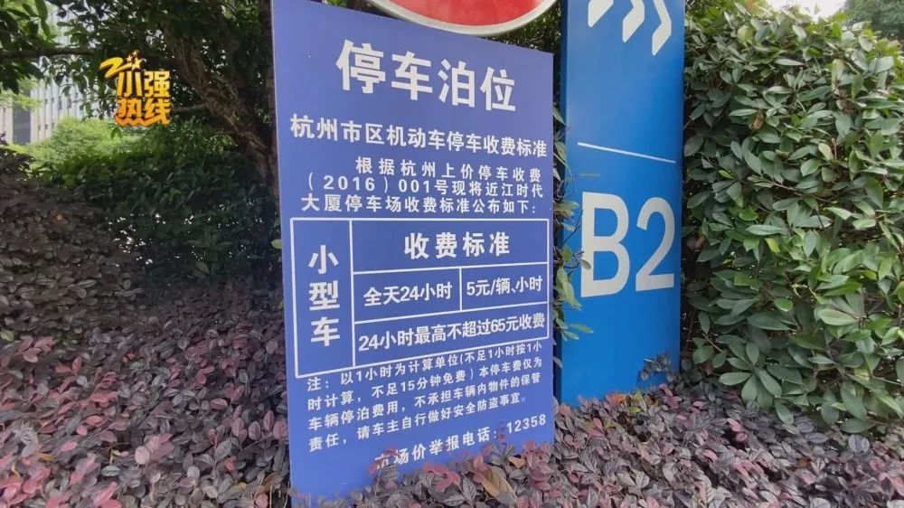不停车收费,不停车收费什么意思