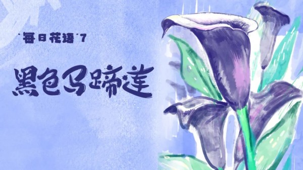 限购令细则,什么是限购令