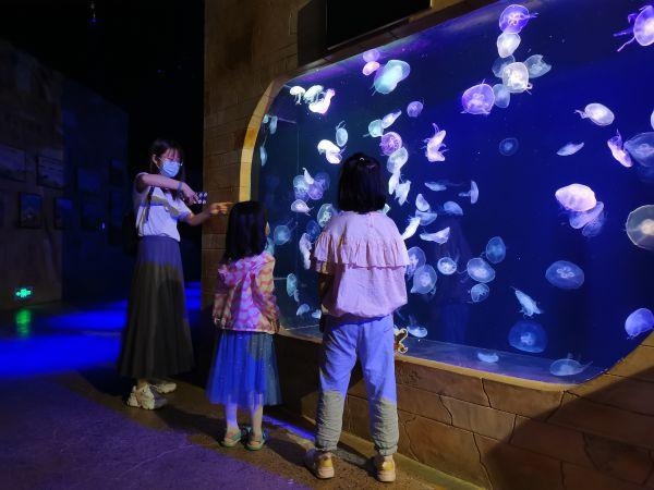 武汉@你，这里有张国庆打卡大全请查收