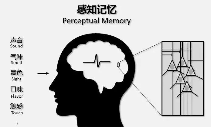 德芙巧克力招聘信息（用好这5步）