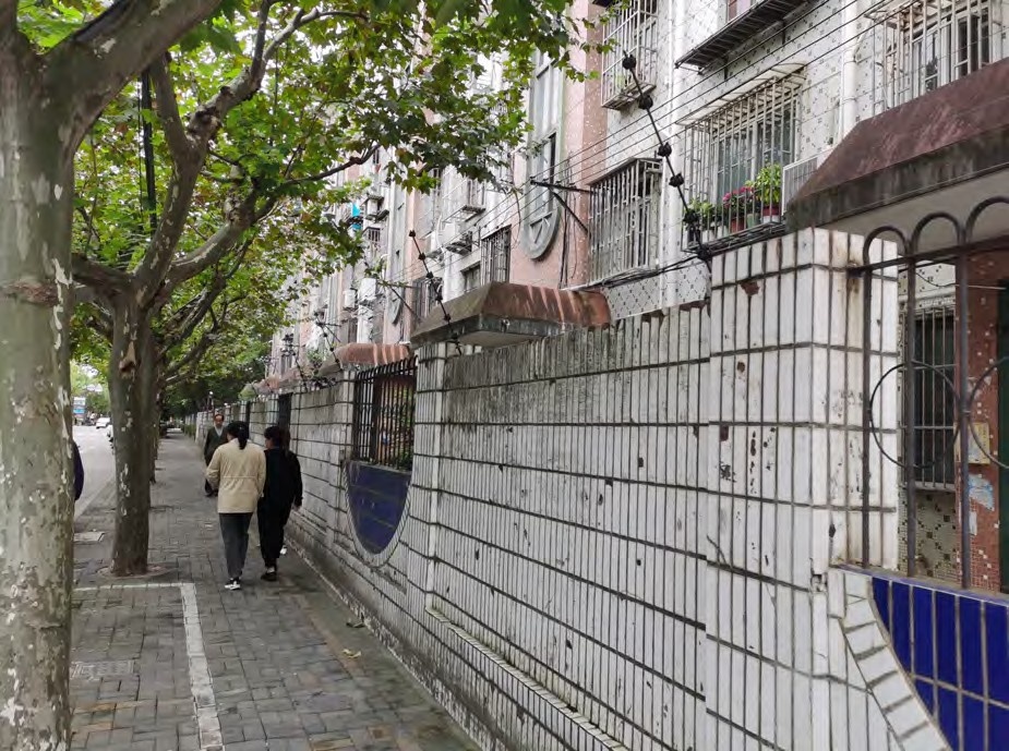 颜值UP！宝山这个镇年内打造9个美丽街区，有没有你家附近？