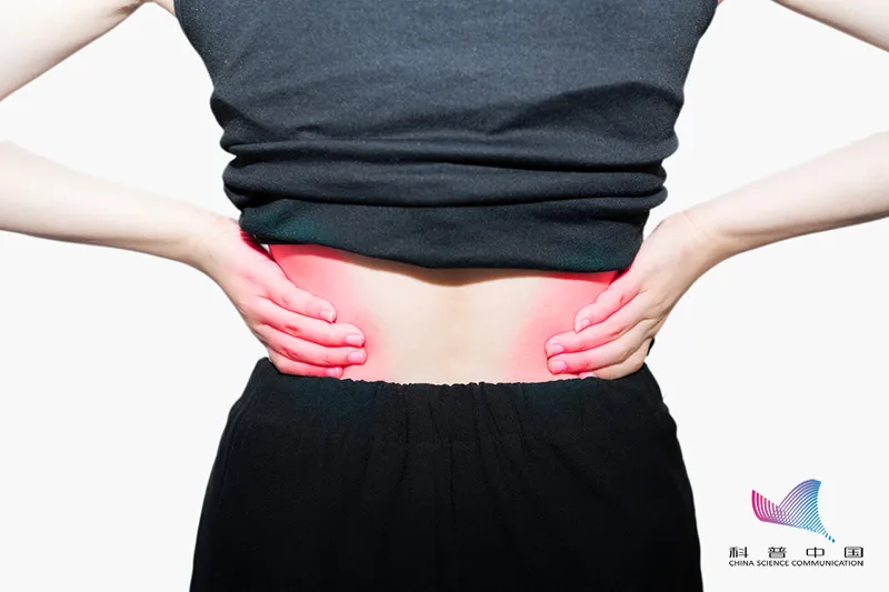 腰痛有哪些原因引起的(警惕！经常腰疼千万别大意！可能是这些原因引起的……)