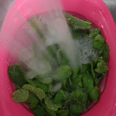 新鲜薄荷叶的吃法大全（零技巧的薄荷糖懒人也能秀厨艺）