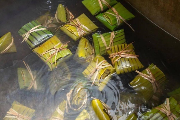 能包粽子的树叶，你认识几种？