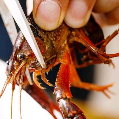 学会蒜香小龙虾,把餐厅味道搬回家