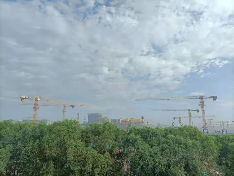 唐秋华简历承德市旅游文化广电局扎实推进河北省首届绿化博览会专项