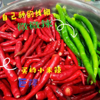 牛肉辣椒醬的做法大全,