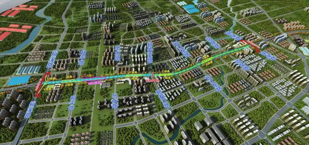 安徽高考上午10点放榜！全程直播看这里！｜新闻早班车