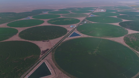 12年投入超75亿治沙 圣牧“沙漠绿洲”抢占国产有机奶风口