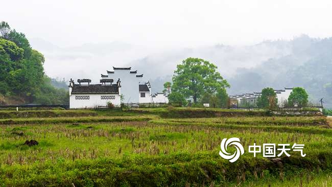 一城烟雨一城诗 细数江南与梅雨的那些爱恨情仇