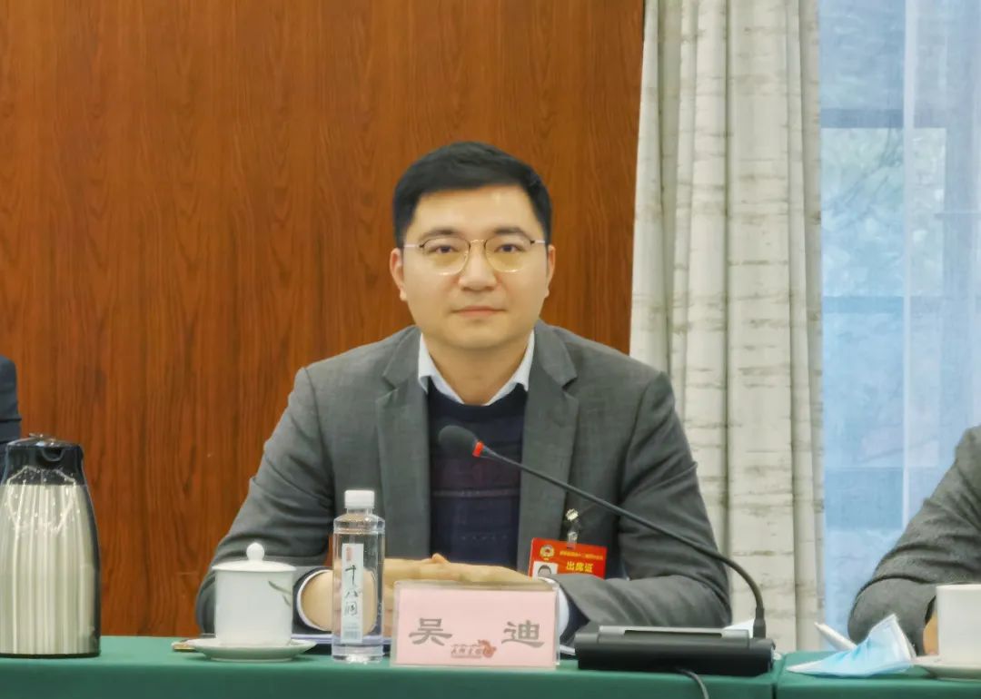 湖南大学吴迪:强链补链要找到痛点定向发力|强链补链在行动