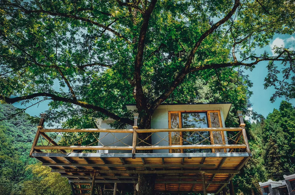 夏枕温席·一梦清凉~平武这个夏日宝藏打卡地，藏着20℃的清爽！（附民宿推荐）