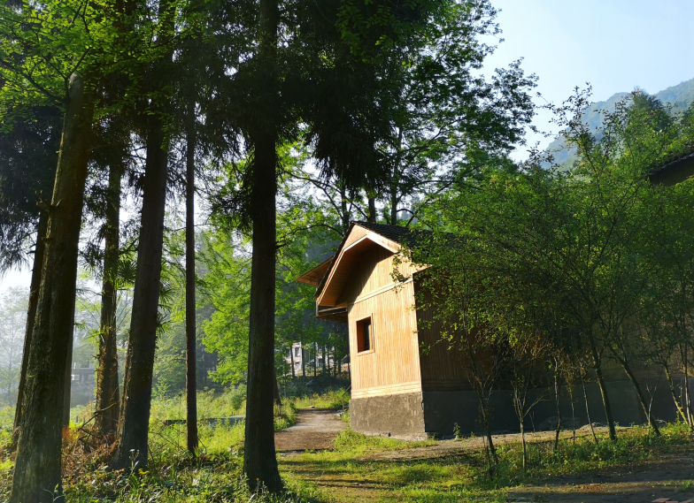 夏枕温席·一梦清凉~平武这个夏日宝藏打卡地，藏着20℃的清爽！（附民宿推荐）