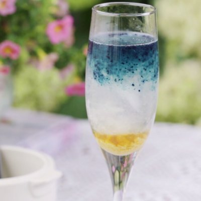 燕窩菜譜,燕窩菜譜名稱