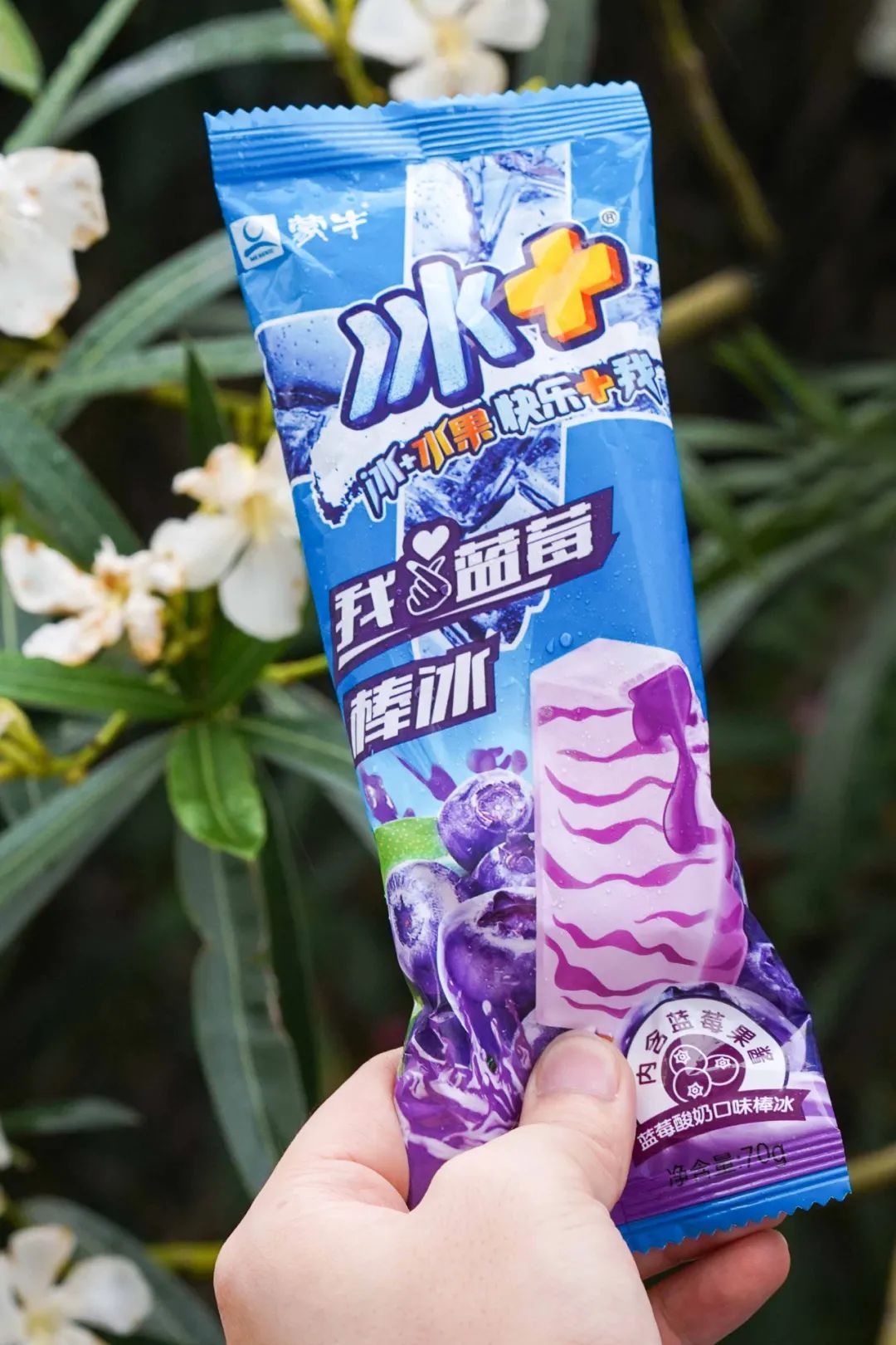 伊利冰工厂一个多少钱（分享5块钱以下的雪糕能有多好吃）(9)