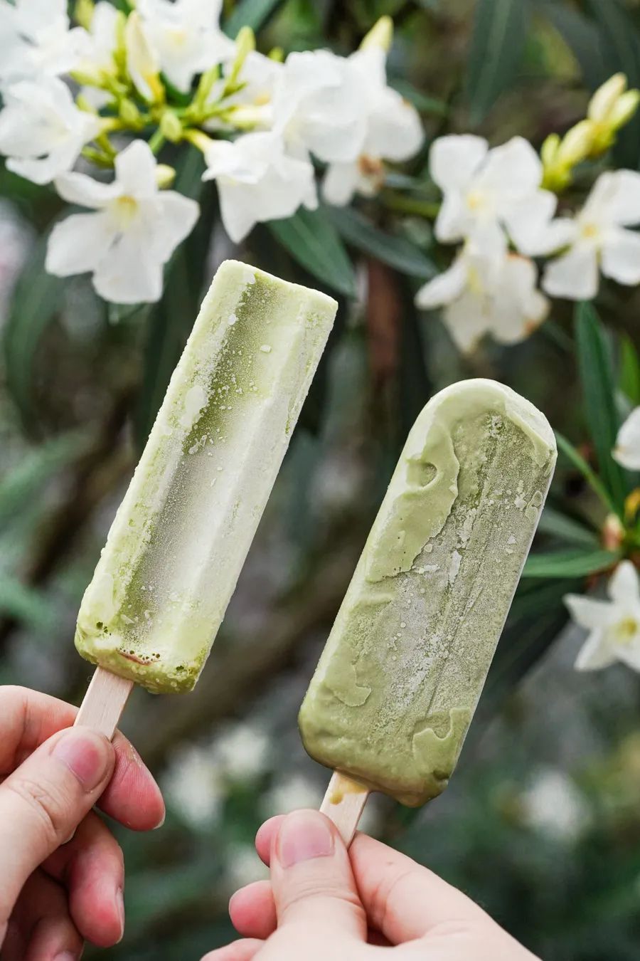 伊利冰工厂一个多少钱（分享5块钱以下的雪糕能有多好吃）(16)