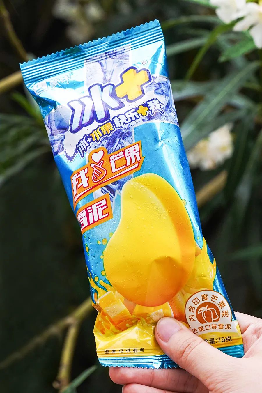 伊利冰工厂一个多少钱(分享5块钱以下的雪糕能有多好吃)-998冻品网