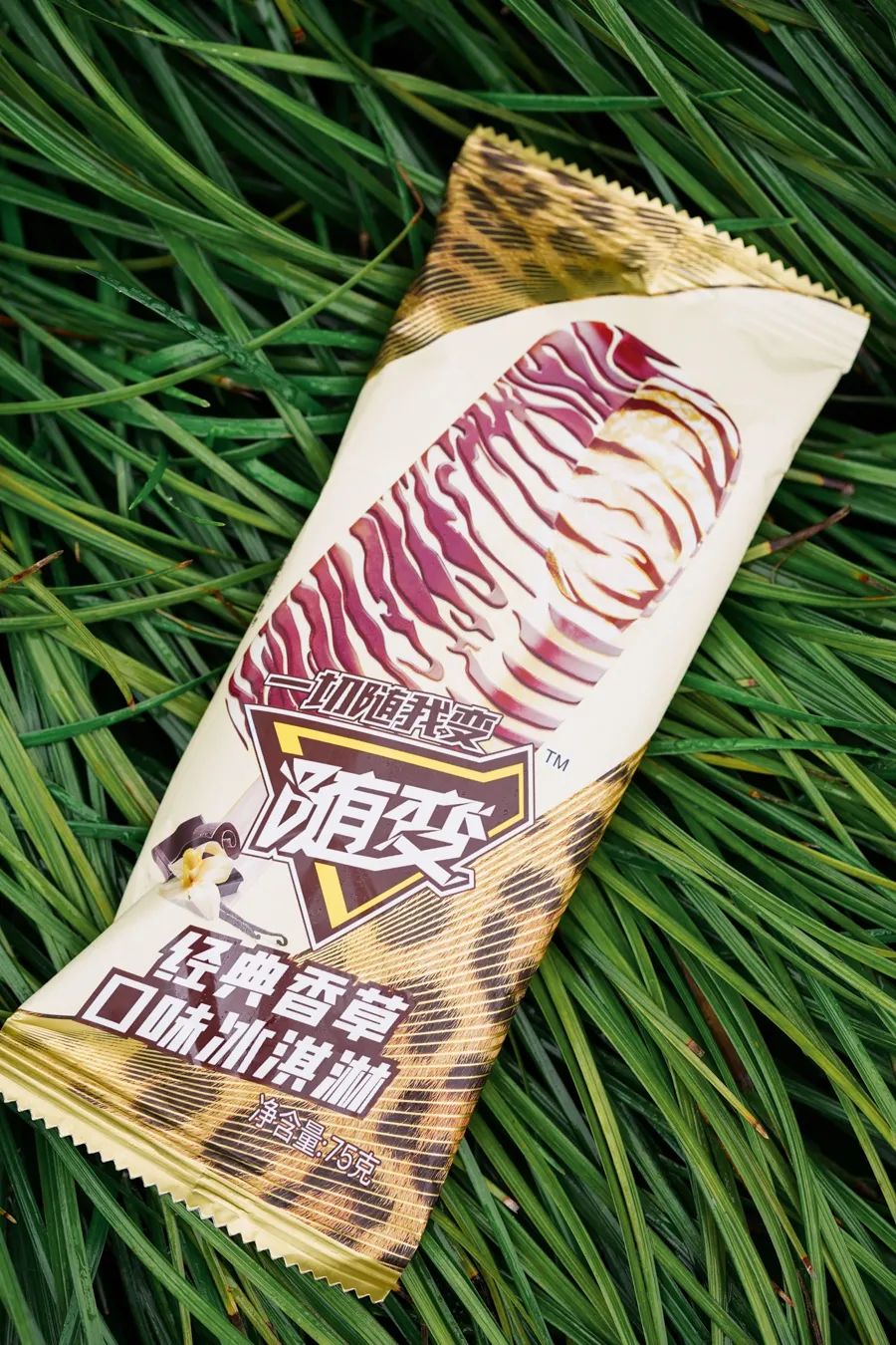 伊利冰工厂一个多少钱（分享5块钱以下的雪糕能有多好吃）(45)