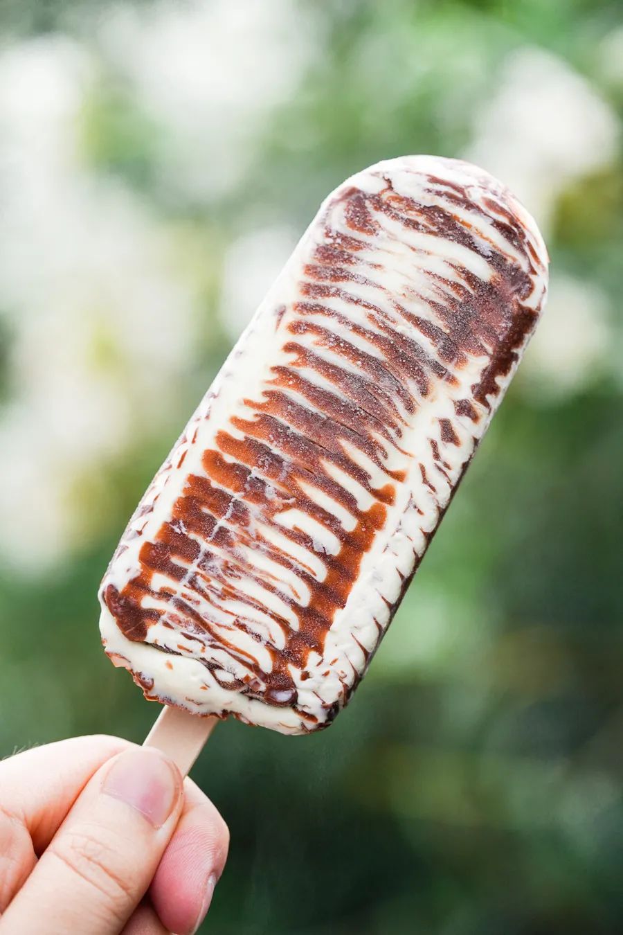 伊利冰工厂一个多少钱（分享5块钱以下的雪糕能有多好吃）(46)