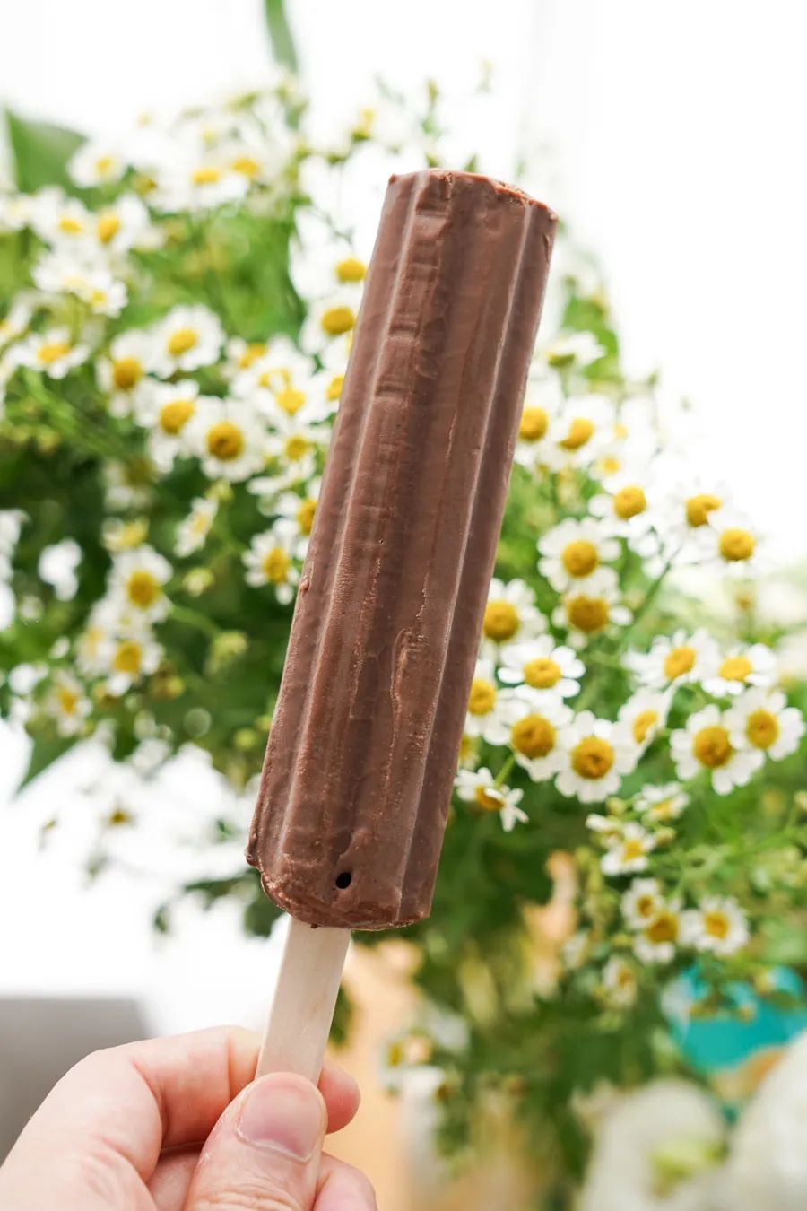 伊利冰工厂一个多少钱（分享5块钱以下的雪糕能有多好吃）(49)