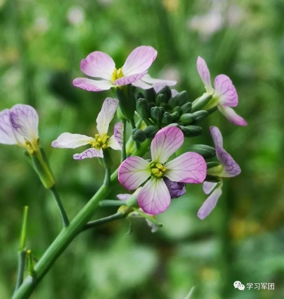 晚间悦读 | 最好的关系：浓淡相宜，远近相安