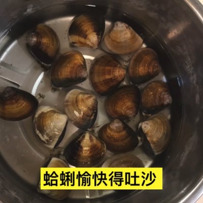 蛤蜊燉蛋,蛤蜊燉蛋的做法
