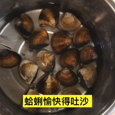 蛤蜊炖蛋,蛤蜊炖蛋的做法