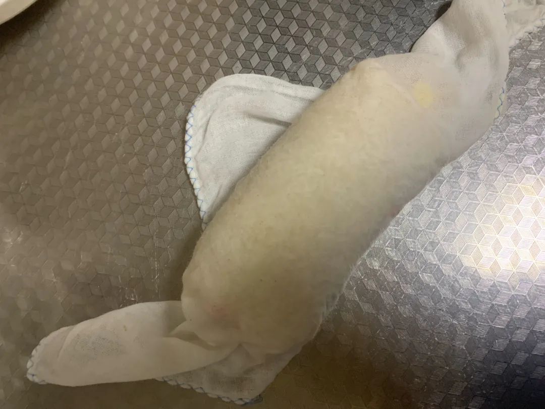 粢饭团（朋友邻居都夸赞的那种）