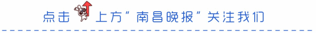 南昌交通违章查询,南昌交通违章查询网