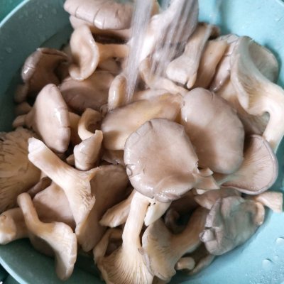 平菇怎么做好吃,平菇怎么做好吃家常做法