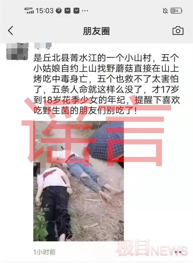 云南五名孩子误食野蘑菇身亡？官方：谣言，网传视频为外地溺水视频
