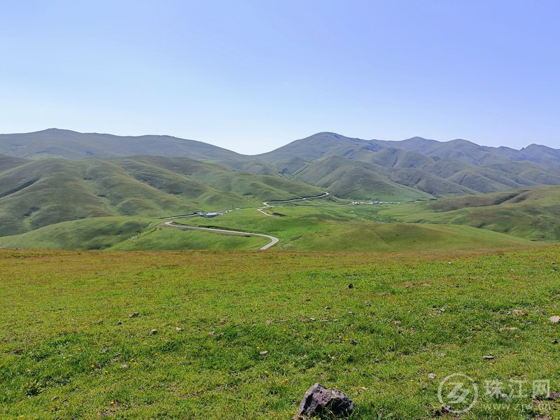 蓝天、白云、绿草、繁花、牛羊肥壮，打卡大海草山