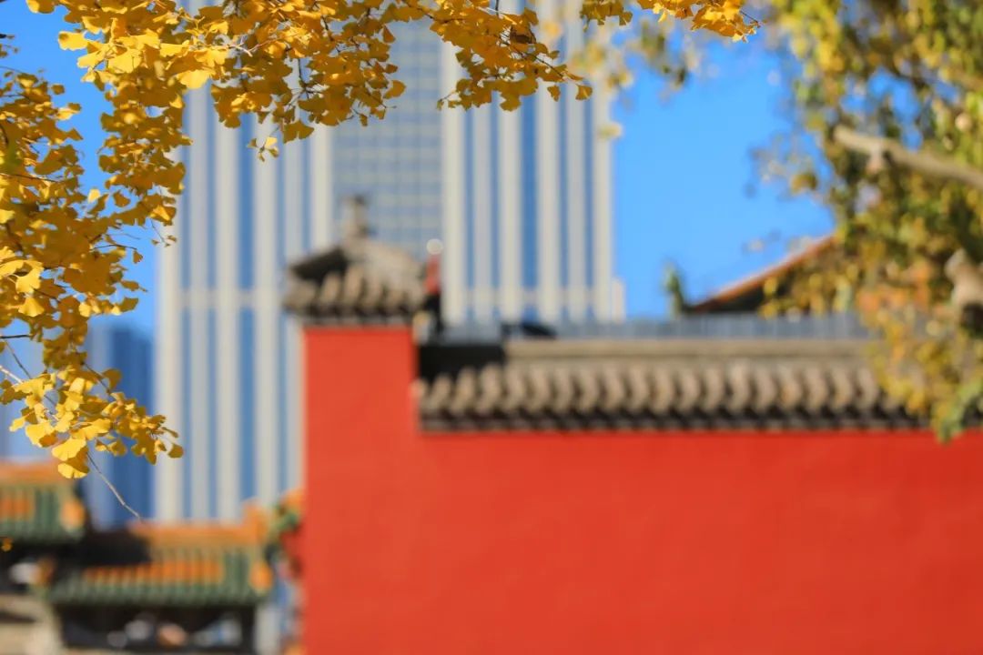 沈阳企业注意！9月1日起办理公积金业务更方便了