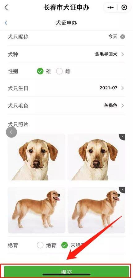 “吉事办”可申办长春市犬证