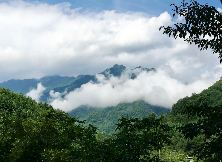 夏枕温席·一梦清凉~平武这个夏日宝藏打卡地，藏着20℃的清爽！（附民宿推荐）