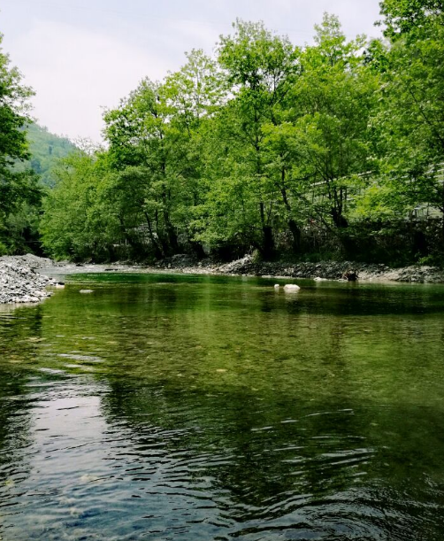 夏枕温席·一梦清凉~平武这个夏日宝藏打卡地，藏着20℃的清爽！（附民宿推荐）